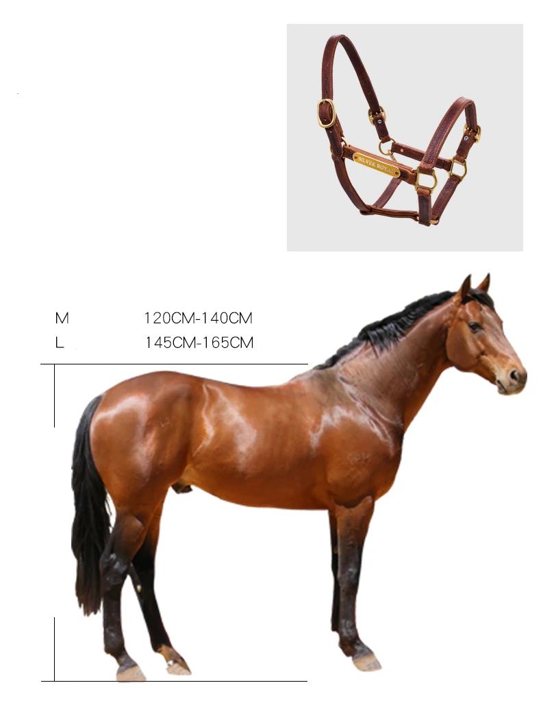 Wholesale High Quality Horse Headcollars Manufacturer, Horse Equipment Design Your Own Horse leather Halter